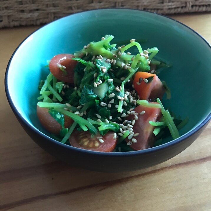 豆苗とミニトマト胡麻酢味噌和え